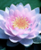 Counseling shapeimage_2