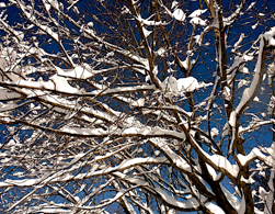 Anxiety Disorder shapeimage_5