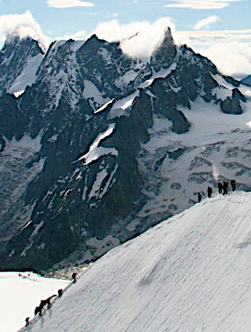 Coaching Summit shapeimage_5